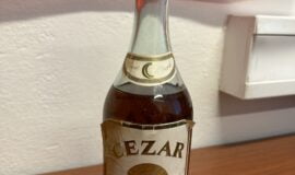 CEZAR Vinjak