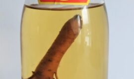 ISAMSUL LIKÉR- S ŽENŠENEM-KOUPENO V KOREII V ROCE 1990!!! INVESTIČNÍ ALKOHOL!!!!