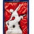 obrázek Rémy Martin – Centaure Limoges 1980 0,7l