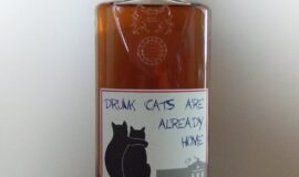 Old well Drunk cats are already home