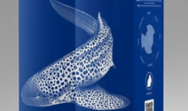 Rum Shark Blue Ocean Chamarel 2013 – sud A/B – 2 láhve