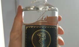 Le Gin Occulte 45% 0,5l (2016)
