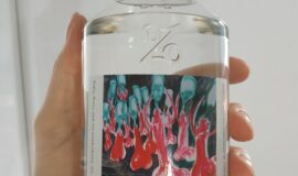 GYYN 45% 0,5l (2021) limited etiketa