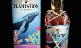 Plantation – Under the sea – Panama 2008