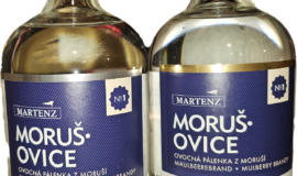 Prodám vyměním Martenz morušovice 2021