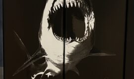 Shark caroni