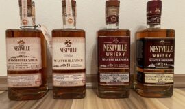 Nestville Master Blender 8, 9, 10,11yo