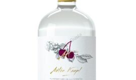 Anton Kaapl Višňovice