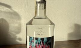 GYYN 2021 45% / Žufánek x Jiří Georg Dokoupil