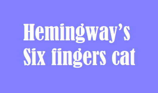 obrázek 💚 Hemingway’s Six fingers cat absinthe No. 1. 💚 z lihovaru Žufánek