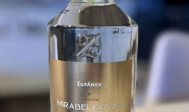 Žufánek Mirabelkovice 14y 2007 0,5l 45%