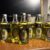 obrázek Žufánek Eccentric absinthe 65% 0,5l za nákupní cenu