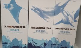 Rum Shark Clarendon , Angostura