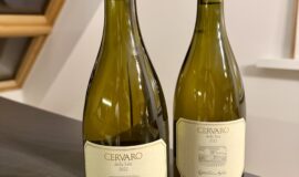 Cervaro della Sala 2022