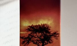 Savanna The Wild Island Edition – Grand Arome