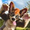JerryWoof