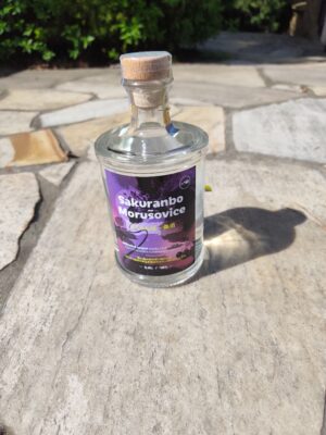 obrázek Sakuranbo-Morušovice