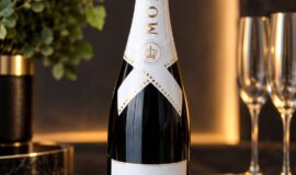 10ks Moët & Chandon Ice Impérial Pharrell Williams Edice 0,75