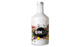 Gin bugis a ginesis